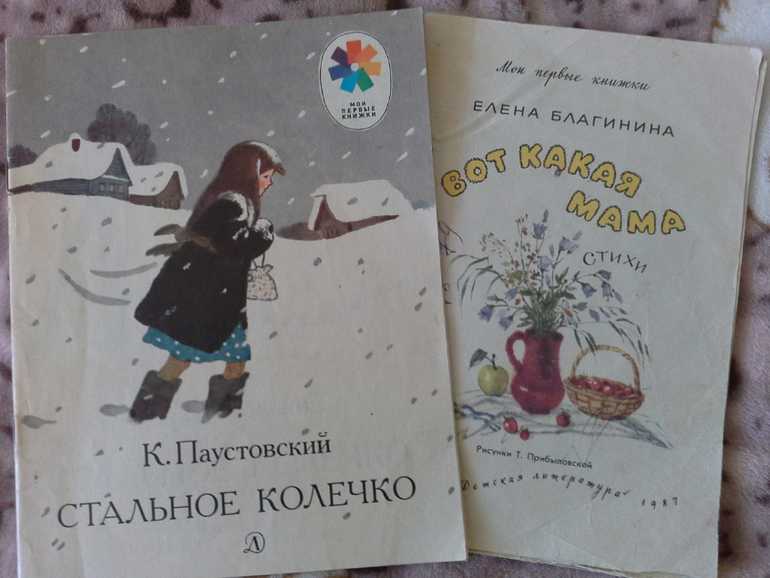 Стальное колечко» читательский дневник