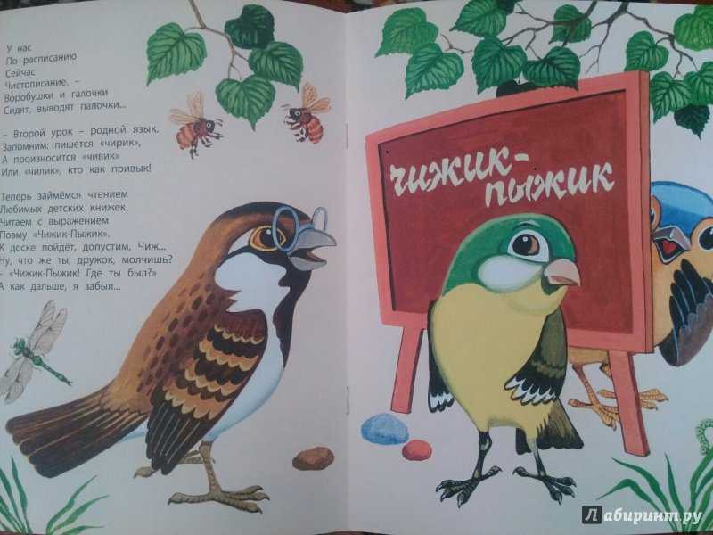 Заходер птичья школа чему учит. заходер борис - птичья школа. школа для птенцов