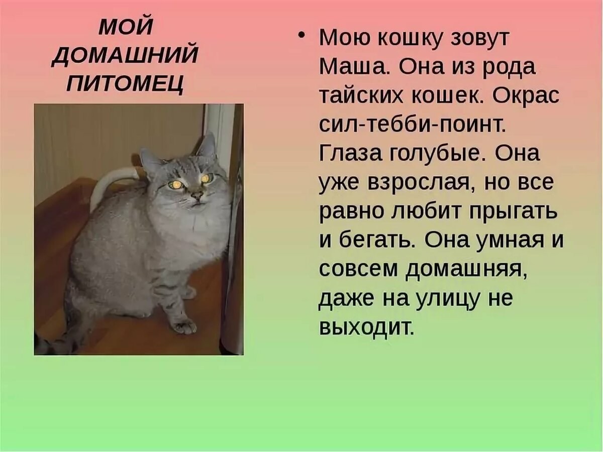 Моё любимое домашнее животное (7 вариантов и 14 похожих топиков), сочинение