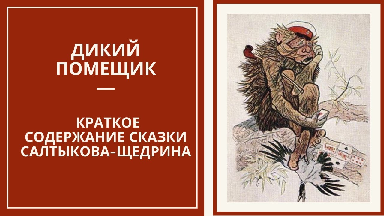 М е салтыков щедрин дикий помещик краткое содержание для читательского дневника 5 6 предложений