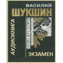 Сюжет и герои одного из рассказов в.шукшина (экзамен)