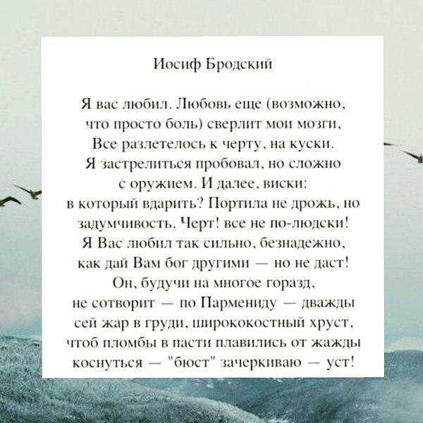 Анализ стихотворения бродского «я обнял эти плечи и взглянул…» (бродский и. а.)