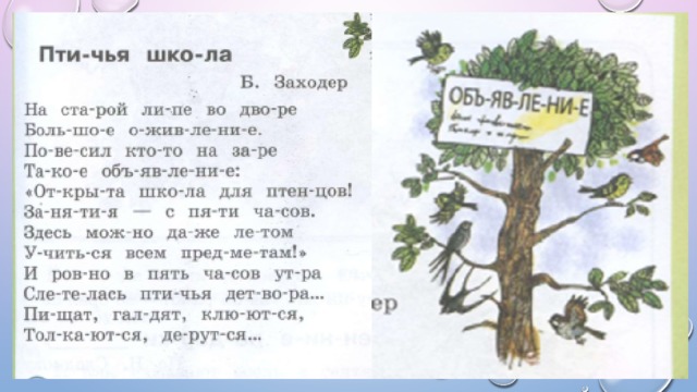 Заходер птичья школа: краткое содержание, главная мысль, кто главные герои? - вопросник.про