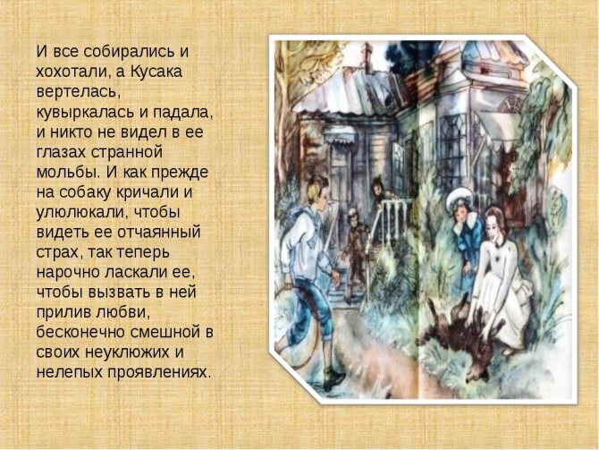 Понемногу: л. андреев "кусака", ответы на вопросы учебника, 7 класс