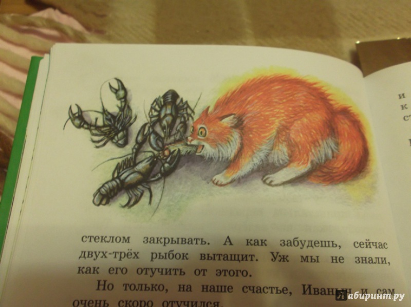 Скребицкий кот иваныч главная мысль. урок литературы г.а. скребицкий "кот иваныч". этап информации о домашнем задании