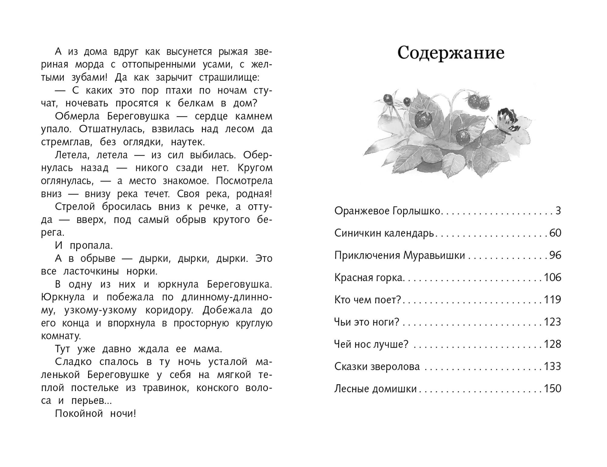 «оранжевое горлышко» — читательский дневник по рассказу в. бианки