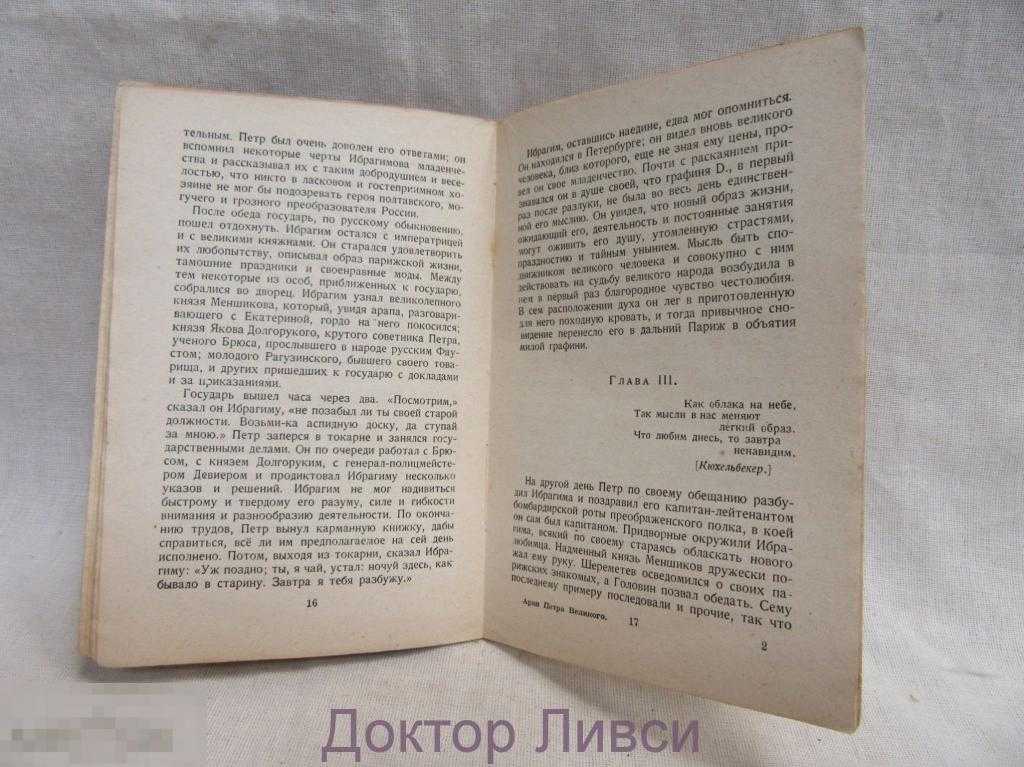 «арап петра великого» за 5 минут. краткое содержание романа пушкина