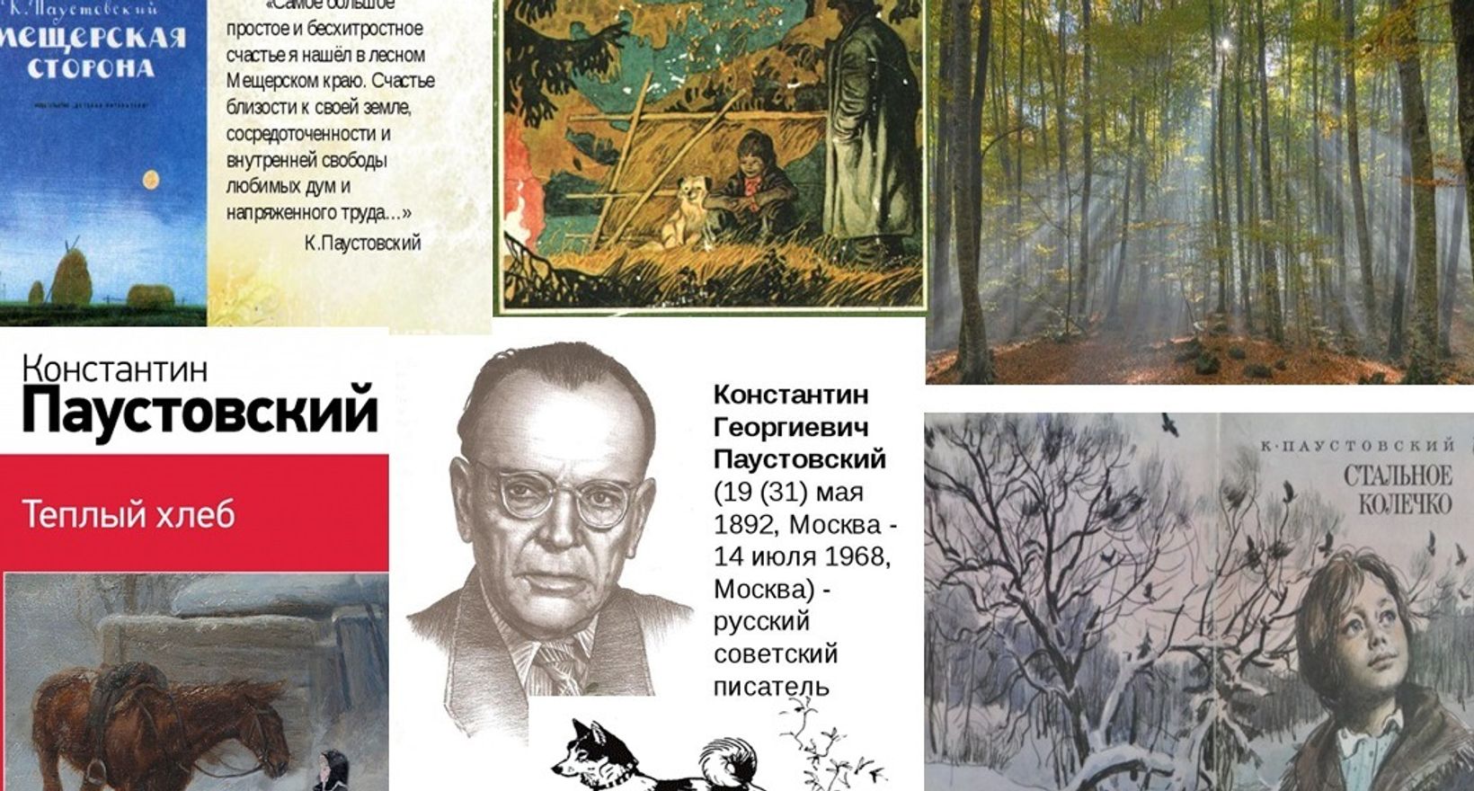 «мещорская сторона», анализ повести паустовского