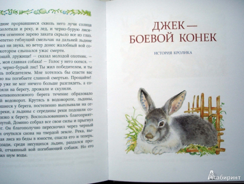 Основные уроки и главные герои рассказа чинк: важные моменты и знаковые персонажи