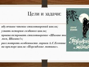 Какие мотивы звучат в персидском цикле есенина?