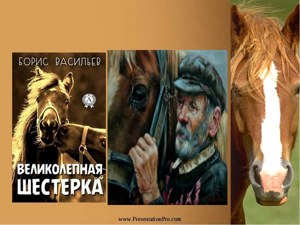 Анализ произведения великолепная шестерка васильева - сочинить.ру