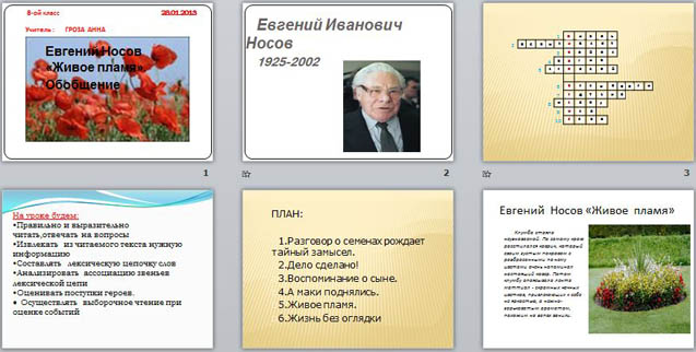 Презентация, доклад к уроку анализ рассказа е.носова живое пламя