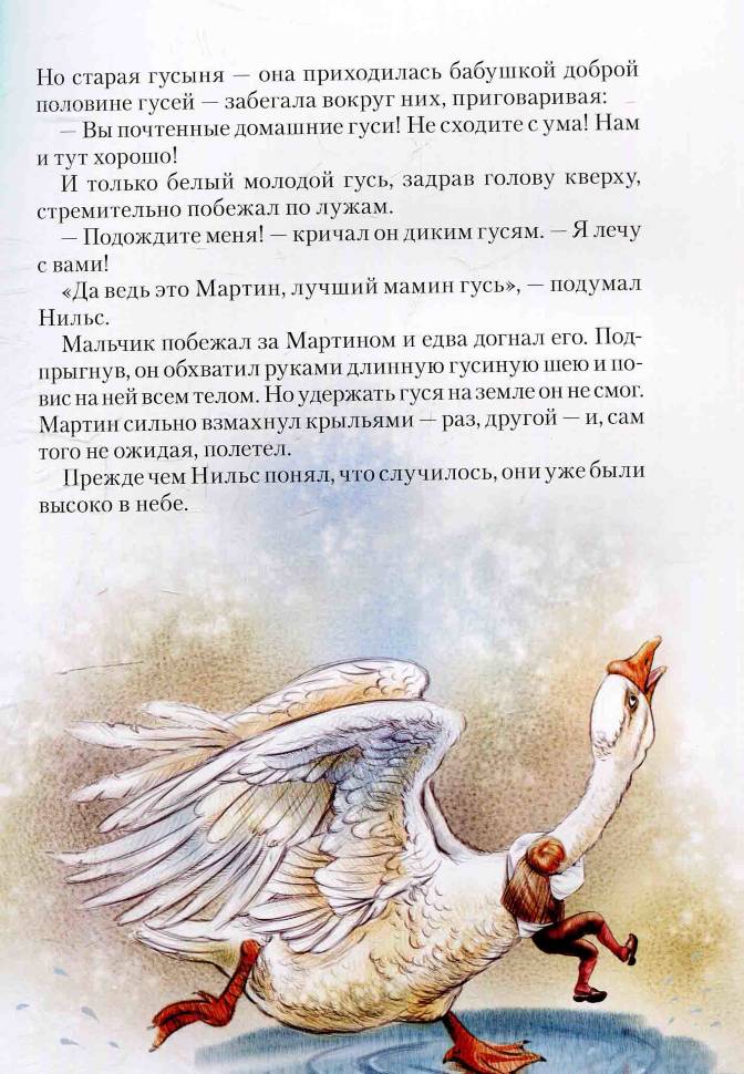 «чудесное путешествие нильса с дикими гусями» — читательский дневник по повести с. лагерлеф