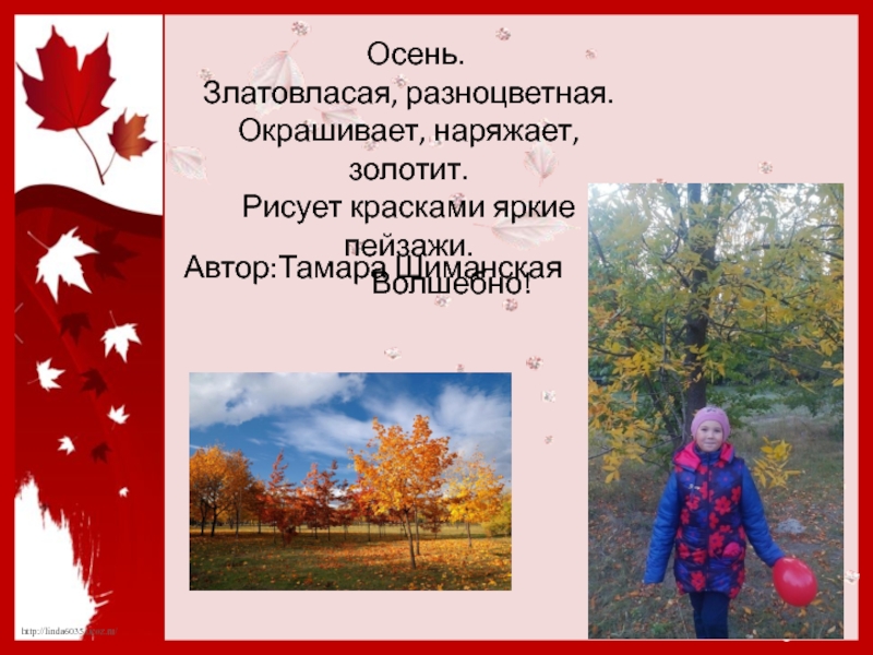 50 примеров синквейнов и как его составить самому