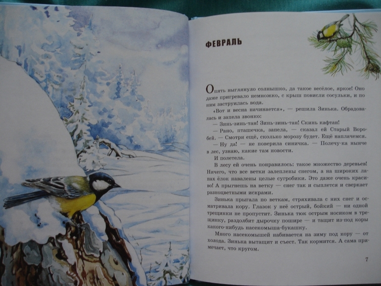 В. бианки синичкин календарь: краткое содержание для читательского дневника