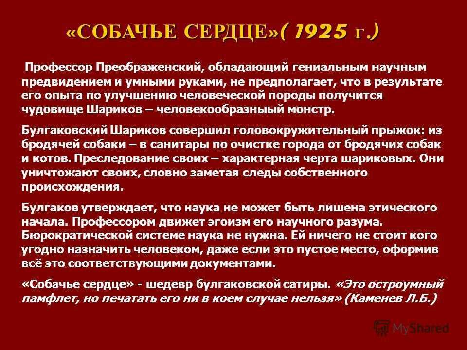 «собачье сердце» краткое содержание для читательского дневника по повести булгакова (9 класс) – отзыв, сюжет, главная мысль, пересказ