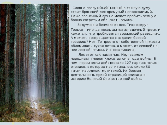 «лес», анализ стихотворения никитина