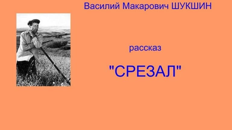 Краткое содержание «срезал»