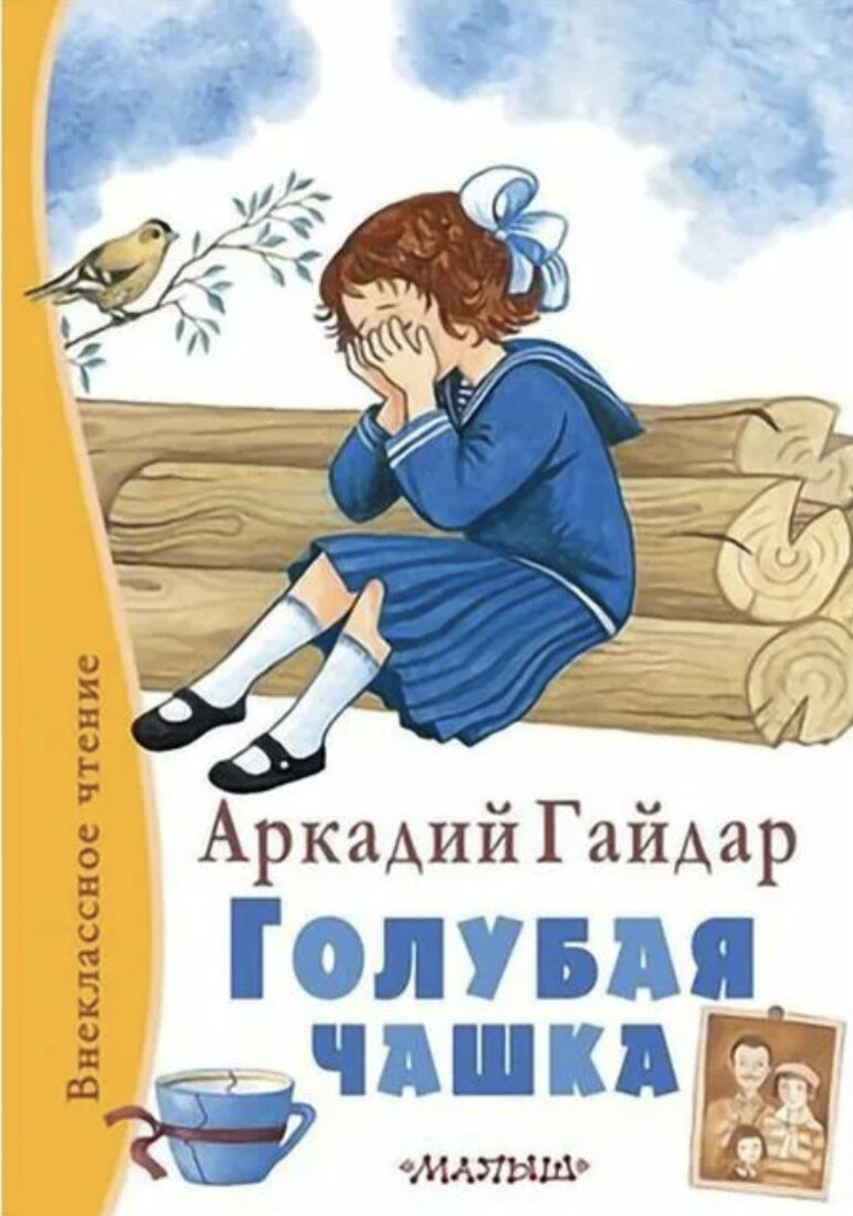 Гайдар "дальние страны", краткое содержание, что написать?