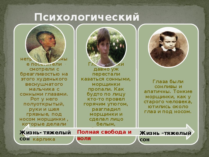 Русский и литература 865: урок по рассказу л.андреева «петька на даче»