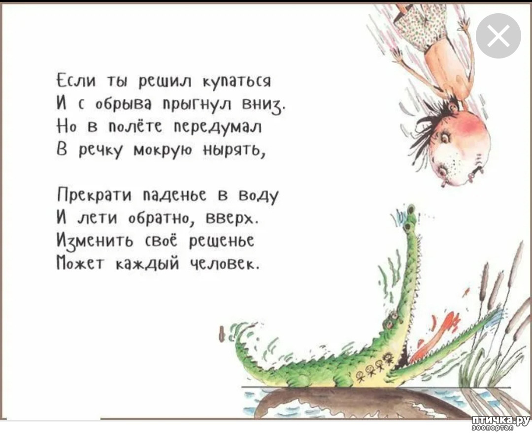 Краткое содержание вредные советы г остера. остер григорий бенционович