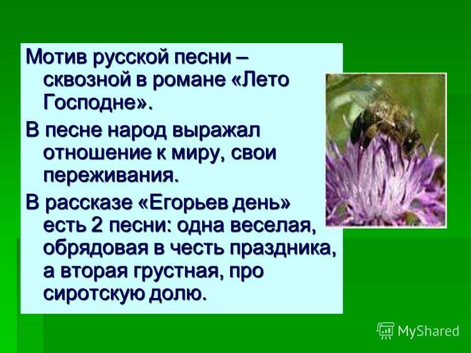 Краткое содержание шмелев русская песня для читательского дневника