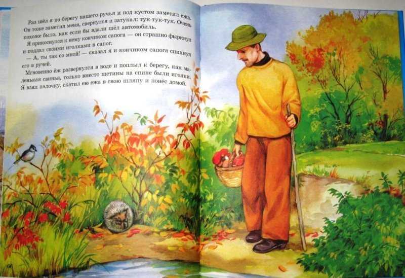 Краткое содержание рассказа ёж (м.пришвин) + отзыв | литерагуру
