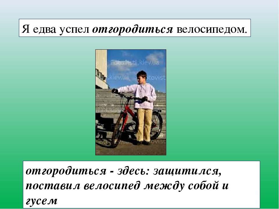 План рассказа белый гусь