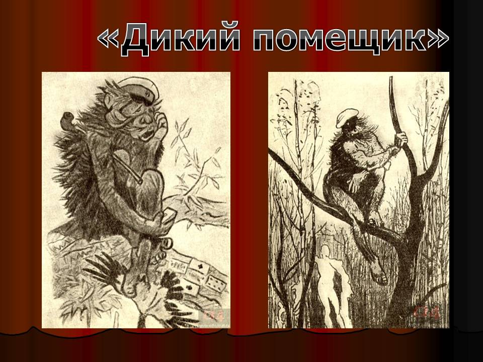 Краткое содержание сказки «дикий помещик» и отзыв для читательского дневника (м.е. салтыков-щедрин)