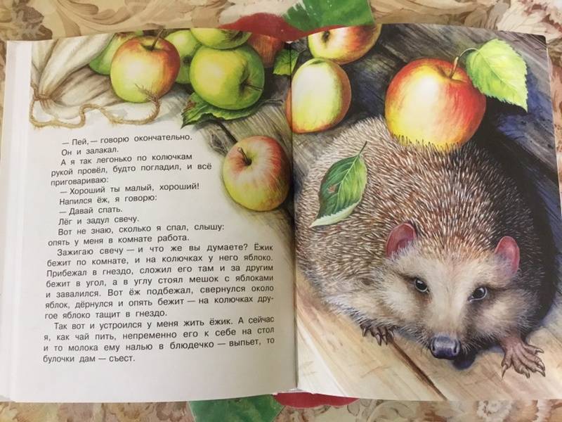 Пришвин михаил рассказ «ёж»