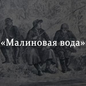 Кратко «малиновая вода» и. с. тургенев