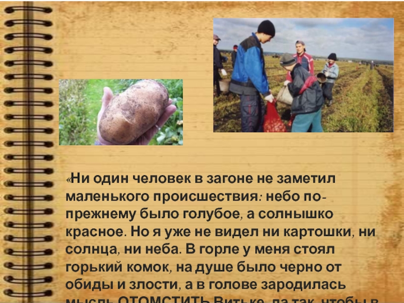 «мститель» краткое содержание рассказа солоухина – читать пересказ онлайн