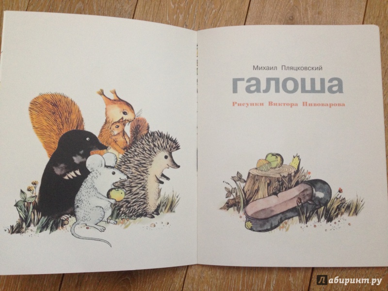 «галоша» читательский дневник