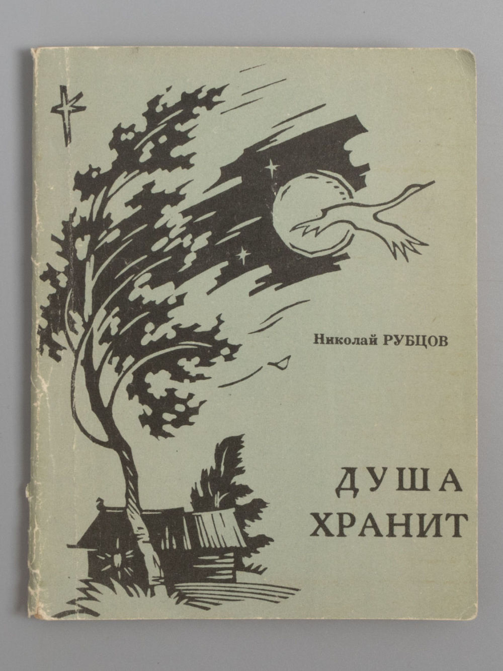 Анализ «душа хранит» рубцов. анализ стихотворения николая рубцова «душа хранит