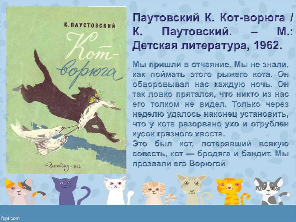 Главные герои и главная мысль в коте-ворюге паустовского: анализ произведения