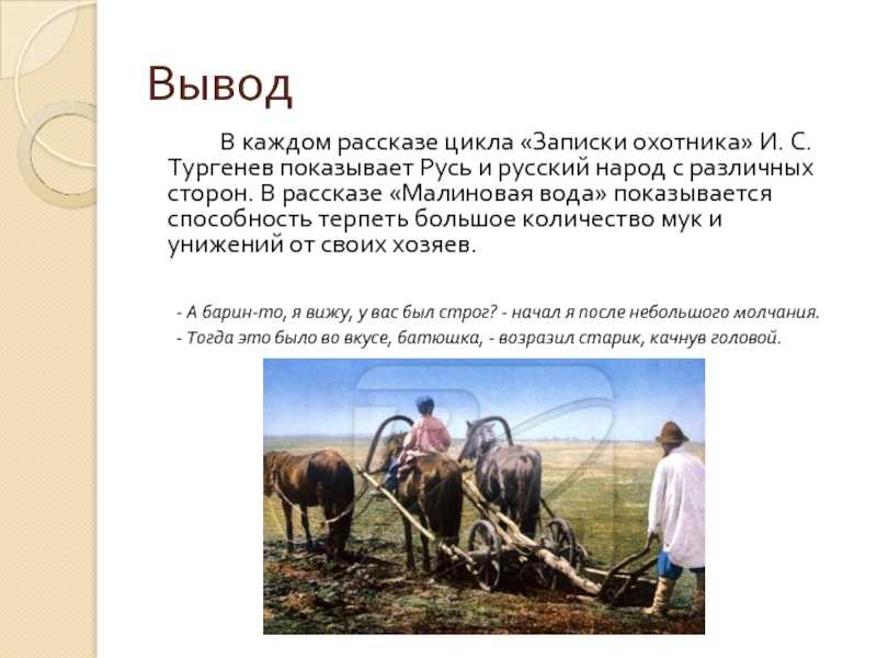 «малиновая вода», краткое содержание рассказа тургенева