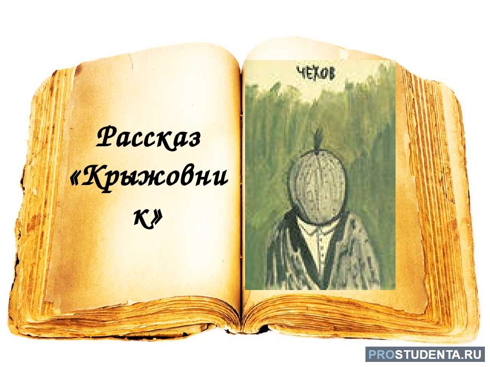 Краткое содержание рассказа «крыжовник» чехова: как навязчивая мысль может лишить человека радости жизни