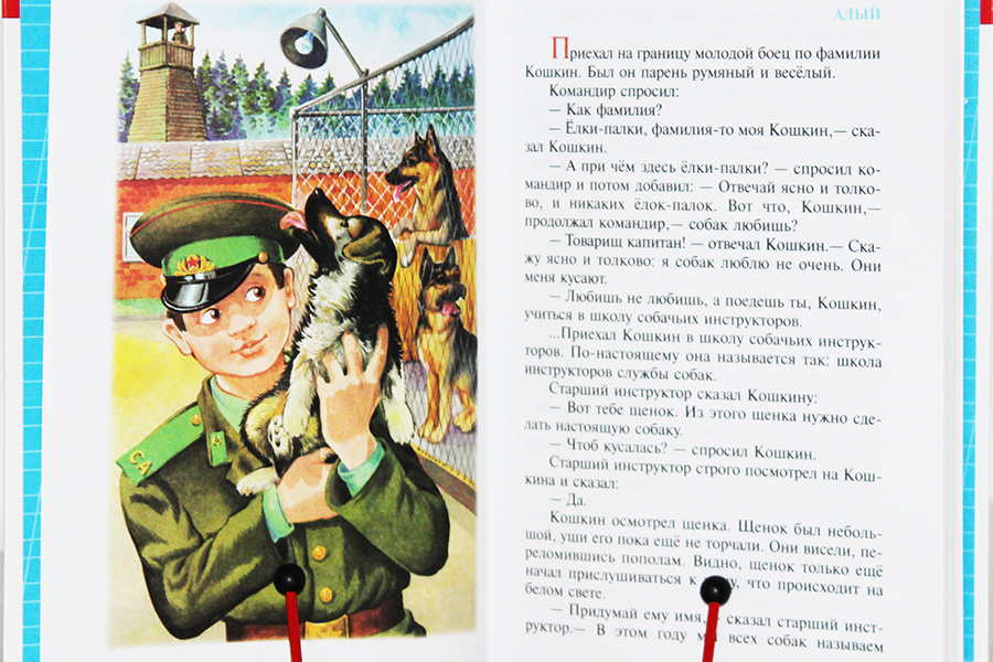 Юрий коваль, алый: краткое содержание повести