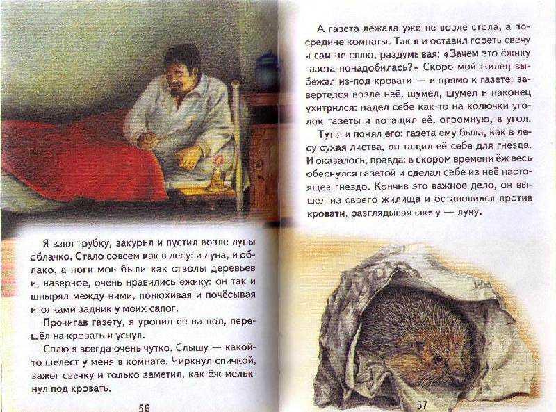 Краткое содержание пришвин еж для читательского дневника