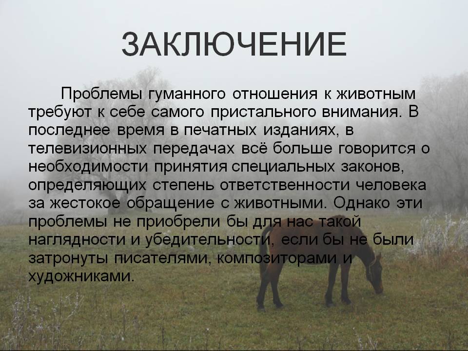 Сочинение про собаку (мое любимое животное) 5 класс