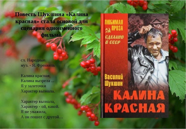 Калина красная анализ. василий шукшин, «калина красная