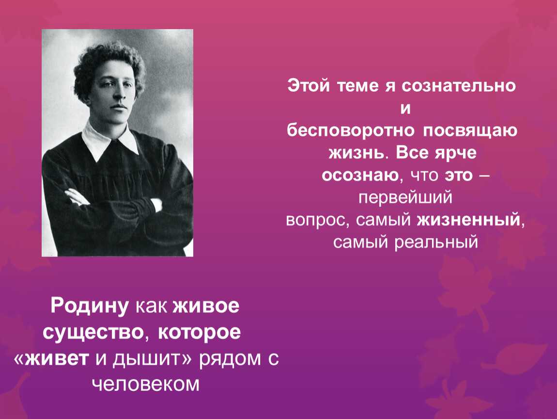 Анализ стихотворения «на железной дороге» блока
