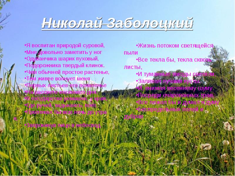 «я воспитан природой суровой» анализ стихотворения заболоцкого по плану кратко – эпитеты, идея, тема