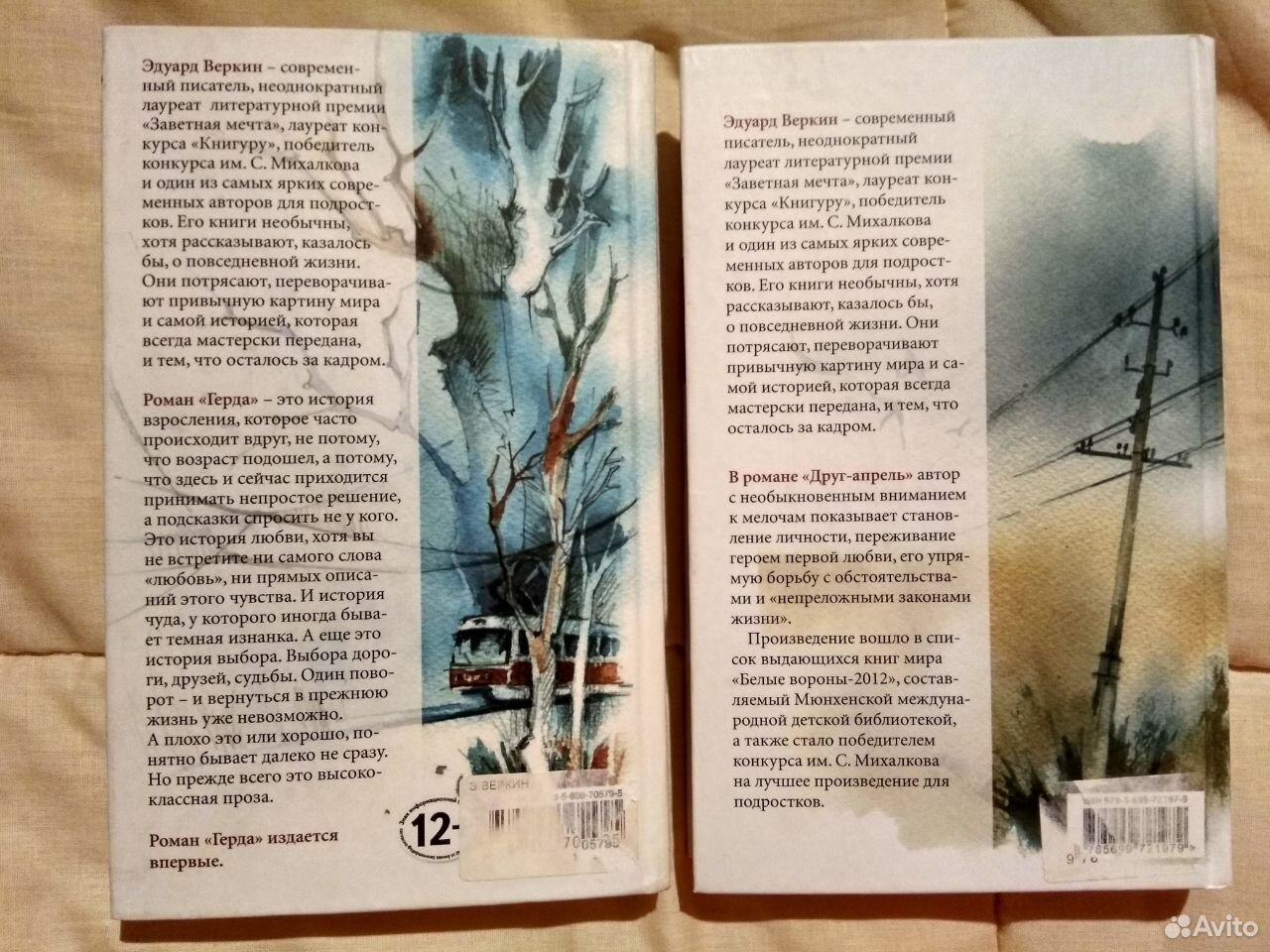 Презентация, доклад ученицы облачный полк э. веркина - повесть о герое