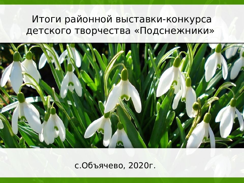Рассказ «подснежник»: краткое содержание. «подснежник» бунина (анализ)