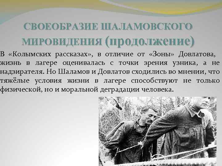 Тайна колымских рассказов в.т. шаламова