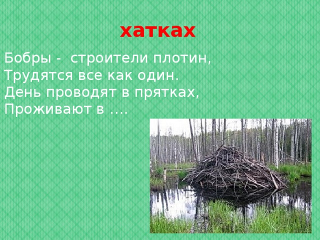 План-конспект урока по чтению (2 класс) на тему: "мир природы в рассказе геннадия снегирёва «маленькое чудовище». г.я.снегирёв. маленькое чудовище. рассказы. читать онлайн с картинками или скачать pdf