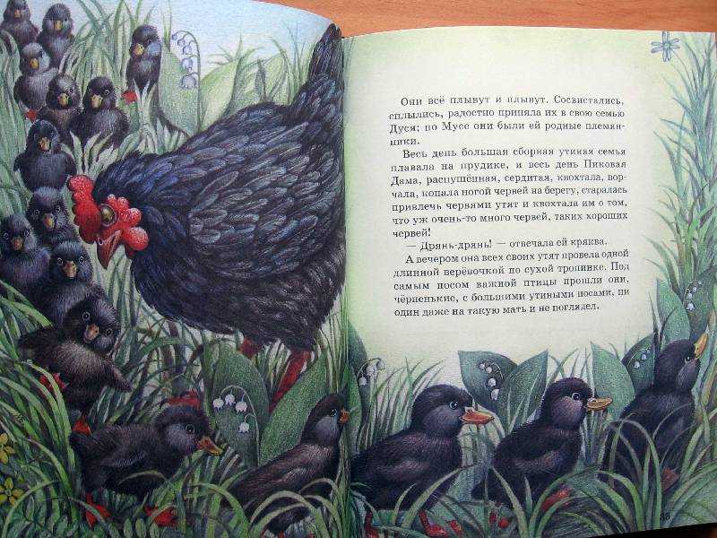 "изобретатель" читательский дневник - пришвин михаил