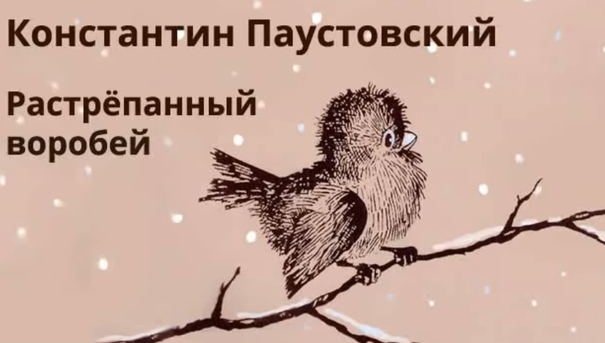 «растрепанный воробей» краткое содержание для читательского дневника по сказке паустовского (3 класс) – суть, отзыв, сюжет, главная мысль