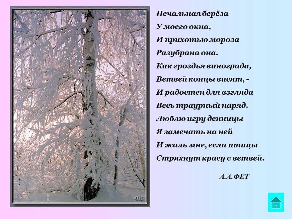 Поэтика контраста в поэзии а. фета (на примере анализа стихотворений «печальная береза» и «кот поет, глаза прищуря») | статья в журнале «молодой ученый»